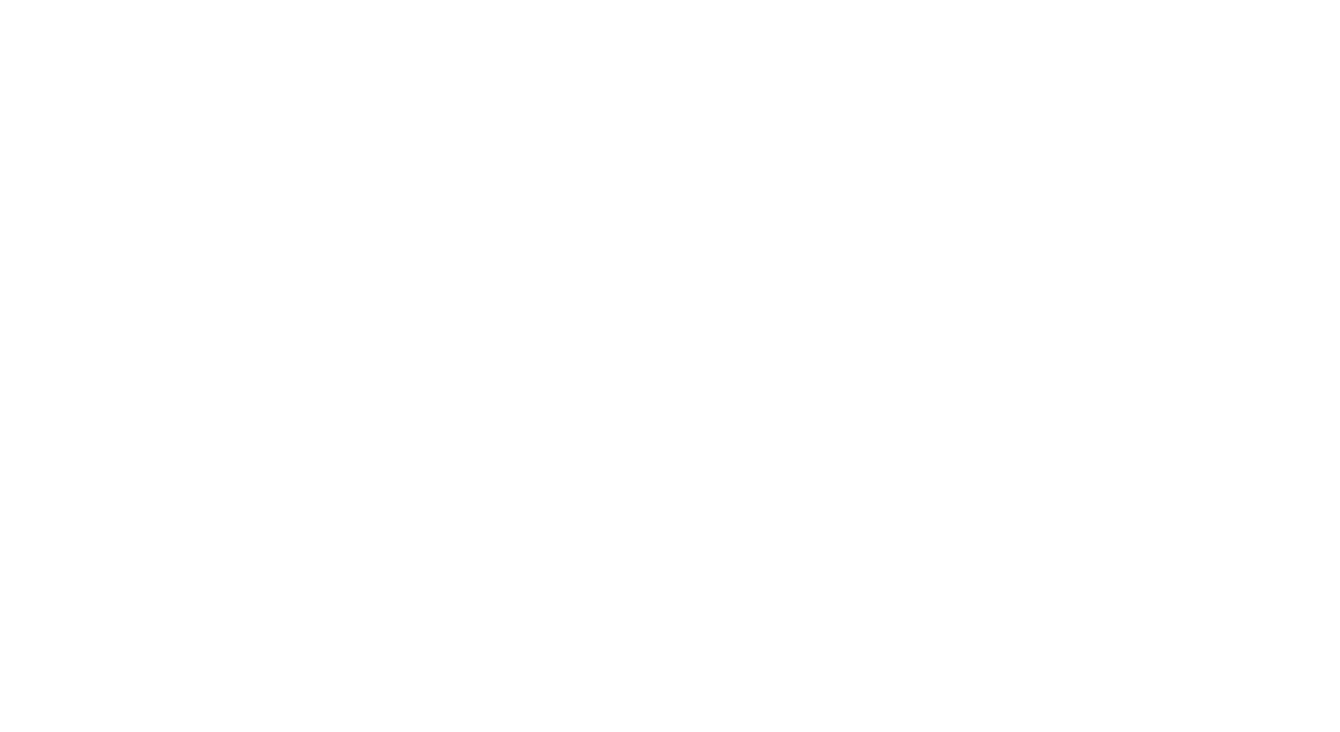 APL comany logo white
